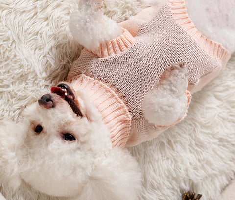 Lesmart Ugly Christmas Sweater for Cats & Dogs Cute Santa Knit Holiday Pet Pullover