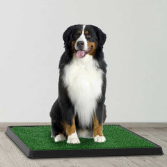 Artificial Grass Puppy Pad for Dogs and Small Pets