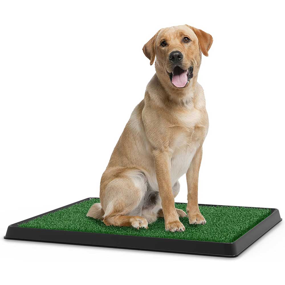 Artificial Grass Puppy Pad for Dogs and Small Pets