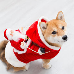 Dog Christmas Santa Claus Costume