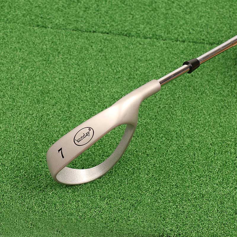 Lesmart Assist Swing Trainer