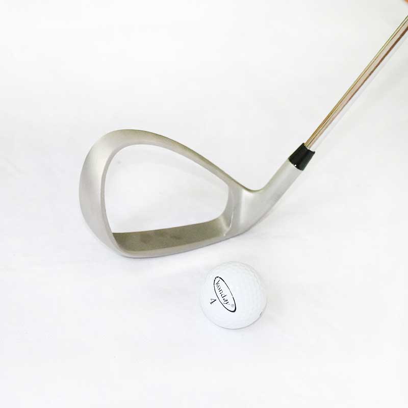 Lesmart Assist Swing Trainer