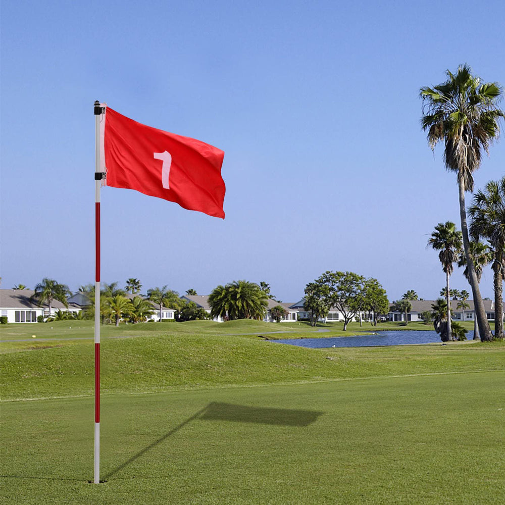 Lesmart Putting Green Flags (with Practice Hole Cup)