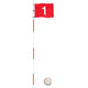 Lesmart Putting Green Flags (with Practice Hole Cup)