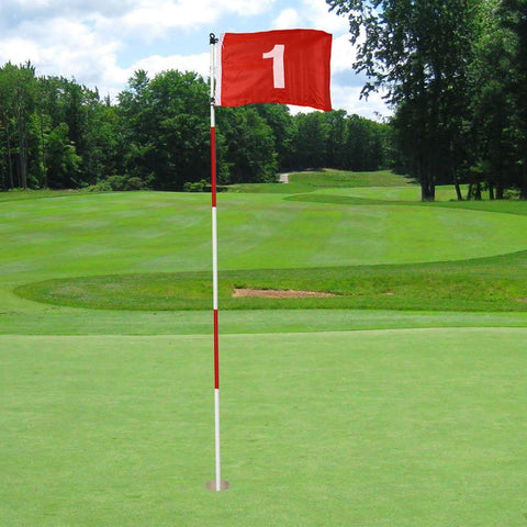 Lesmart Putting Green Flags (with Practice Hole Cup)